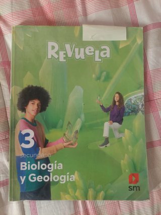 Lengua castellana y literatura