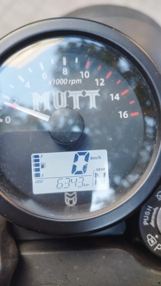 Mutt Akita 250cc Negra