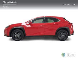 Lexus UX 2.0 250h Business