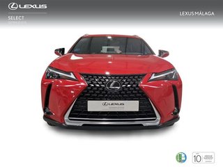 Lexus UX 2.0 250h Business
