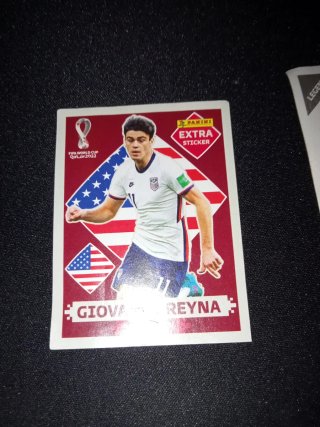2 Cartas Pokémon Vmax y 2 Cromos Mundial 2022