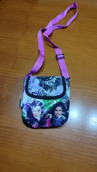 Lote Bolsa Deporte ,bolsa portátil y bandolera