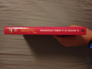 El misterio de la muñeca desaparecida Tea Stilt...