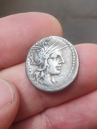 Denario Gens Tullia