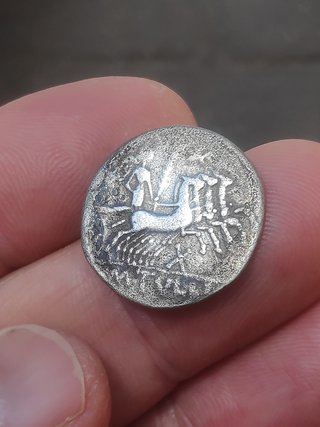 Denario Gens Tullia