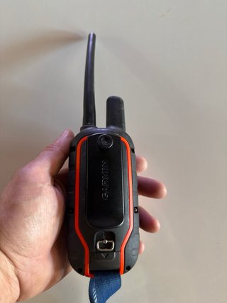 Garmin Alpha 100