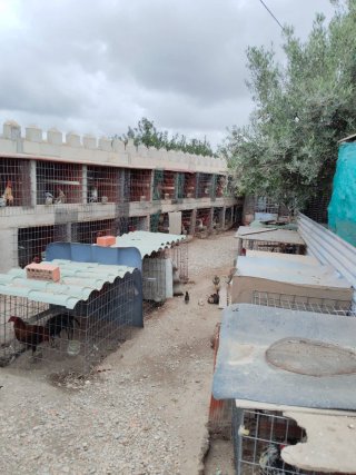 Casa de campo