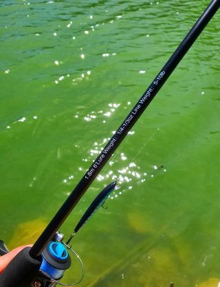Equipo Pesca Spinning, Caña, Carrete Pesca