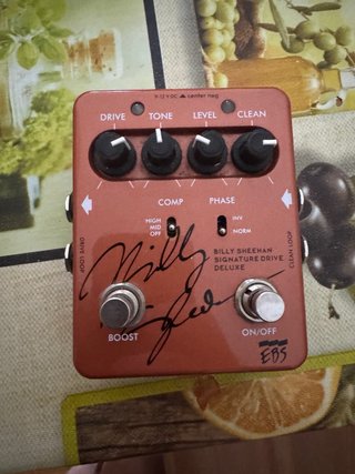 EBS Billy Sheehan Signature Drive Deluxe