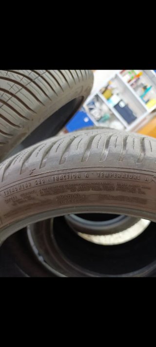 Neumáticos Goodyear 4Seasons