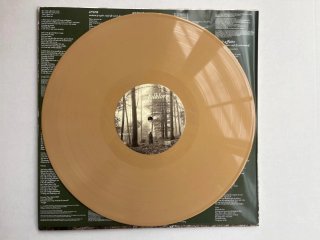 Vinile Taylor Swift folklore
