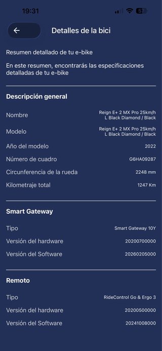 Cuadro Giant Reign E+ Talla L