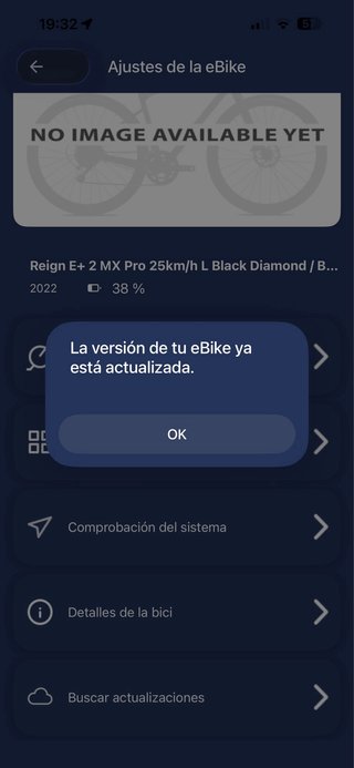 Cuadro Giant Reign E+ Talla L