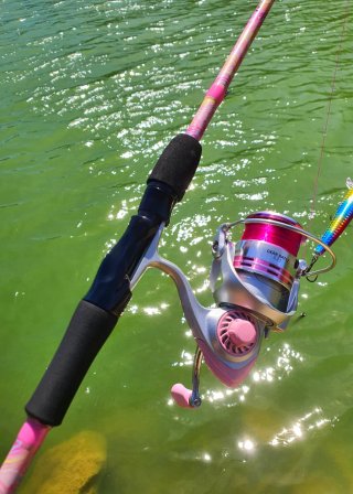 Equipo Pesca Spinning, Caña, Carrete, Spinning