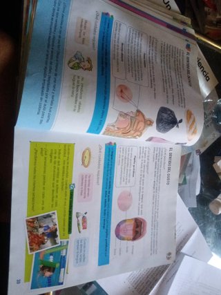 Ciencias de la naturaleza, 3 Primaria Talentia