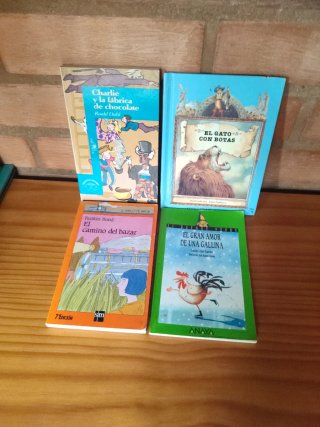 Colección 11 libros juveniles e infantiles.