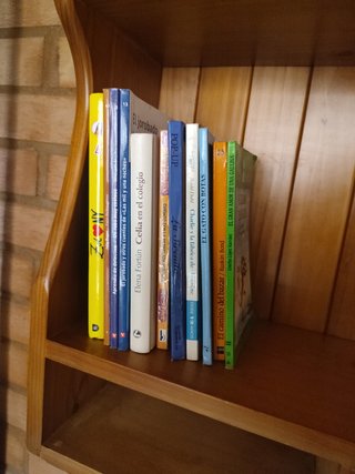 Colección 11 libros juveniles e infantiles.