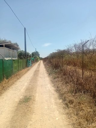 Parcela rustica en Utrera