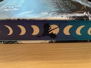 Libro “Hasta que caiga la luna”.