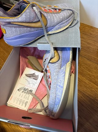 Nike Lebron XX Moradas