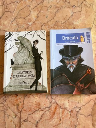 Lot de llibres juvenil