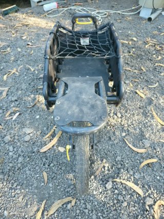 Remolque Bici Burley Coho XC