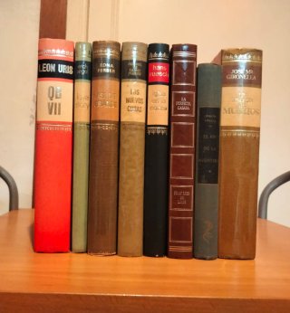 Lote de 24 libros novela en tapa dura, a 18 €