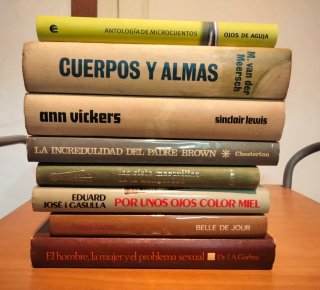 Lote de 24 libros novela en tapa dura, a 18 €