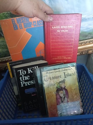 Lote de libros en ingles,frances y catalan