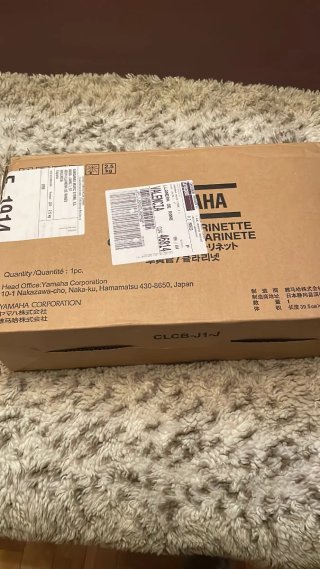 Clarinete Sib Yamaha 650
