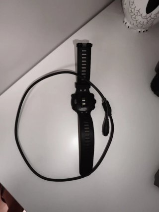 Reloj Garmin Forerunner 45 Negro