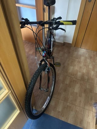 Bicicleta Vintage aggiornata