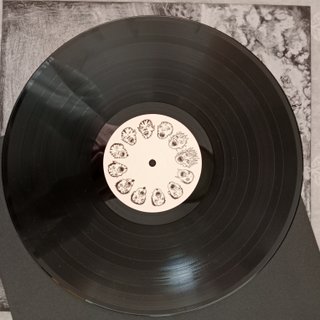 Vinilo Guadalupe Plata