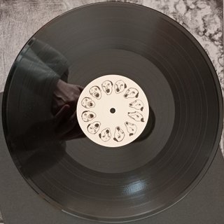 Vinilo Guadalupe Plata