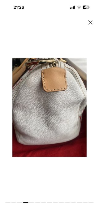 Bolso Andy Carolina Herrera