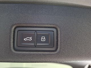 Audi Q5 S Line TDI quattro 150 kW (204 CV) S tronic