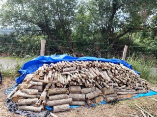Leña de Acacia para Chimenea. 80 euros m3