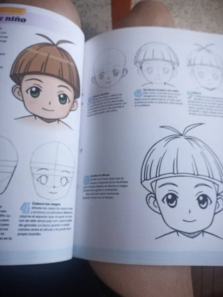 Dominar el manga : 30 lecciones de dibujo del c...