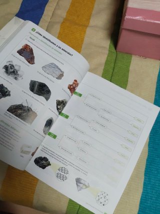 Biología y Geología : 1o ESO : Revuela