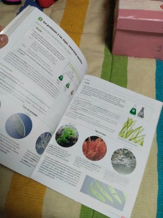 Biología y Geología : 1o ESO : Revuela