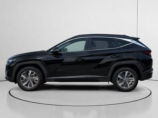 Hyundai Tucson 1.6 TGDI HEV Maxx Auto 169 kW (230 CV)