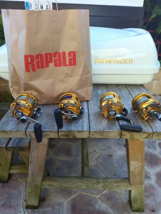 4 Carrete Pesca  BONITOS Penn International VSX 50