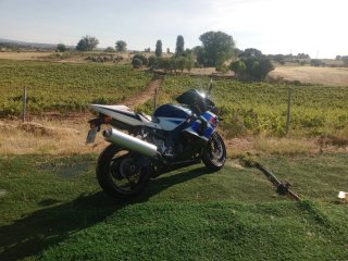 Suzuki GSX-R 1000 Azul y Blanca