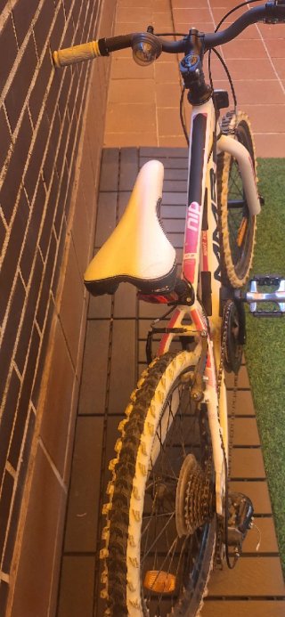 Bicicleta MMR Nippy 20 Infantil