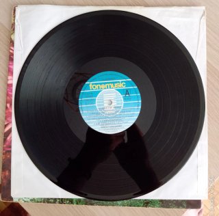 Vinilo Greta y Los Garbo - 1991