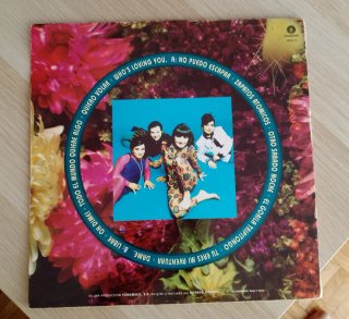 Vinilo Greta y Los Garbo - 1991