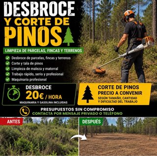 Desbroce y corte de pinos