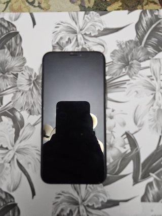 iPhone X