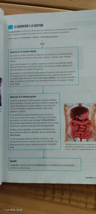 - Biología y Geología 3 ESO