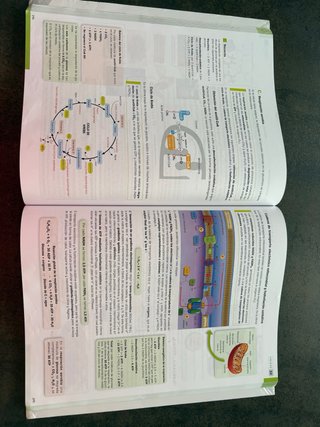 Biología 2o Bachillerato